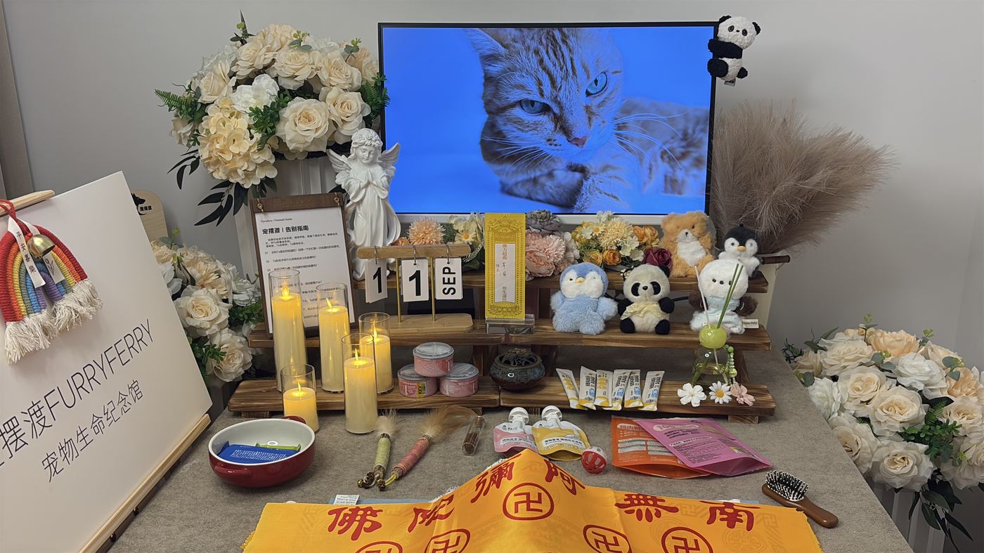 把照片和故事留下