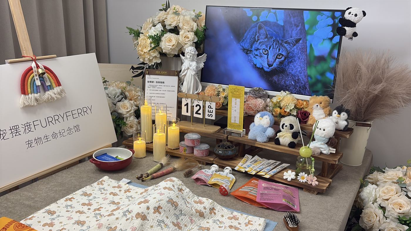 离开不是终点：厦门家庭的宠物生命教育