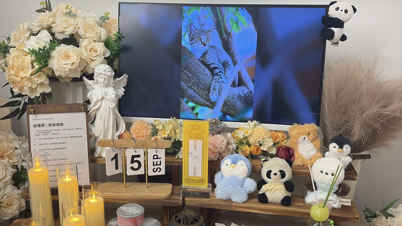 骨灰安置怎么选？厦门常见的五种安葬方式对比