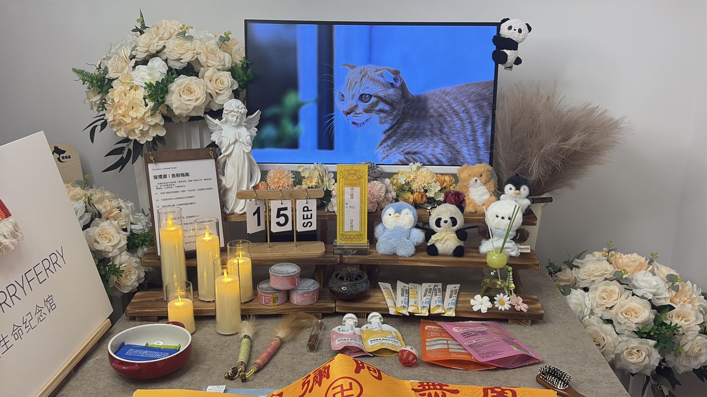 二、收费明细与预算