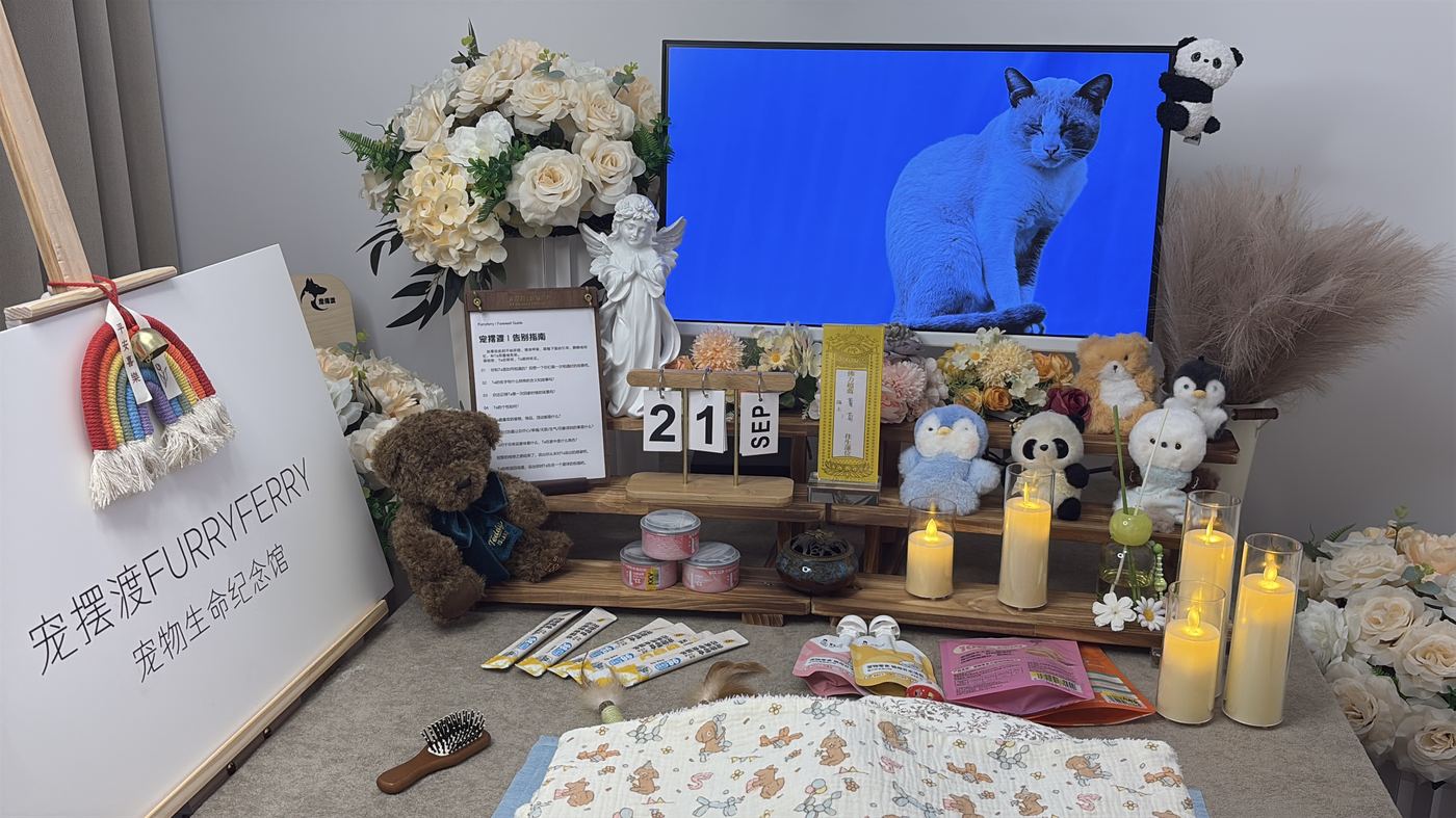 如何面对宠物离世的悲伤？写给厦门养宠人的心理支持