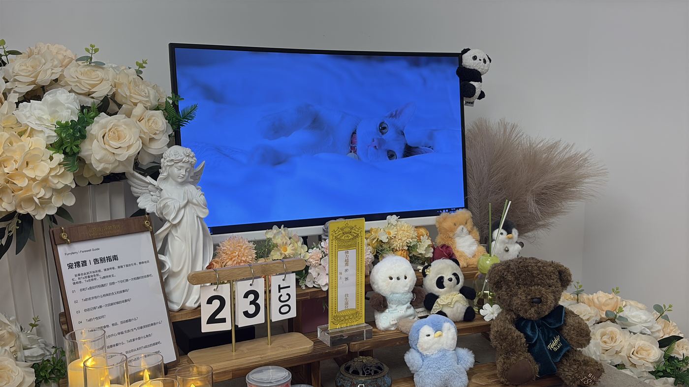三、几个实操提醒